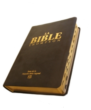 Illustration: Bible Thompson NBS DE LUXE couverture souple, avec onglets et chaînes de références