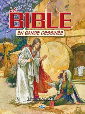 Illustration: La Bible en bande dessinée Vol 3  De Jésus à Paul