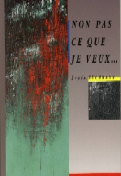 Non pas ce que je veux (Biographie) - Erwin Buchmann
