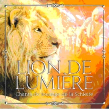 Lion de lumi&egrave;re - Schleife