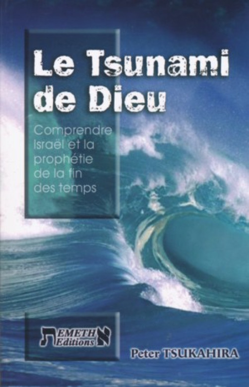 Le tsunami de Dieu - Peter Tsukahira