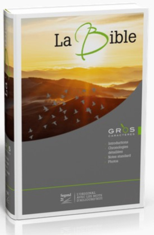 BIBLE SEGOND 21 A GROS CARACTERE ILLUSTREE - Bible Segond 21
