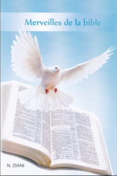 Merveilles de la Bible - Nabil Ziani