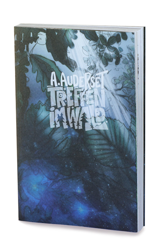DAS BUCH «TREFFEN IM WALD» - Alain Auderset