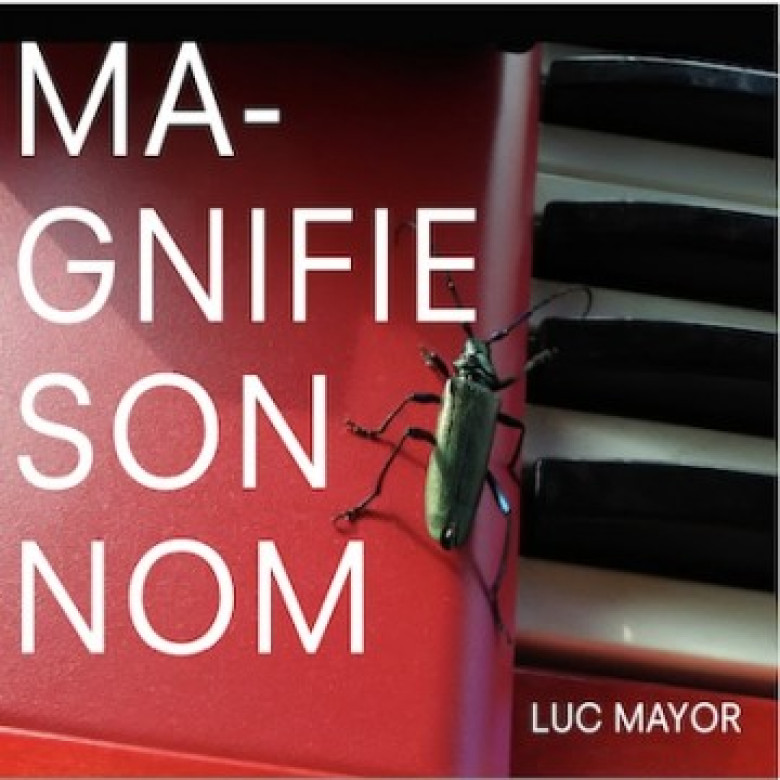 CD Magnifie son nom - Luc Mayor