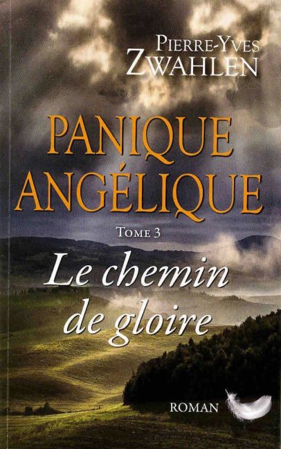 Panique ang&eacute;lique Tome 3 - Pierre-Yves Zwahlen